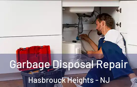  Garbage Disposal Repair Hasbrouck Heights - NJ