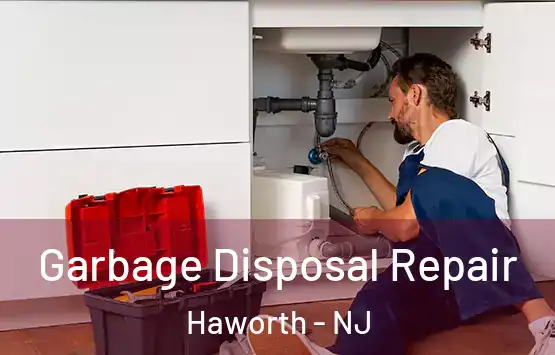  Garbage Disposal Repair Haworth - NJ