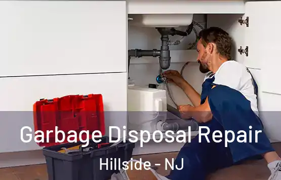  Garbage Disposal Repair Hillside - NJ