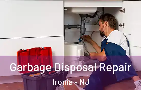  Garbage Disposal Repair Ironia - NJ