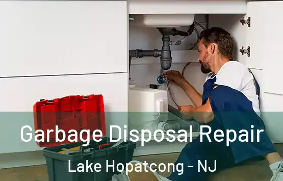  Garbage Disposal Repair Lake Hopatcong - NJ