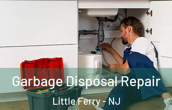  Garbage Disposal Repair Little Ferry - NJ