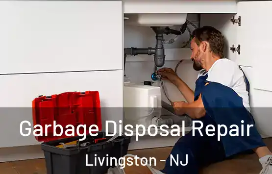  Garbage Disposal Repair Livingston - NJ