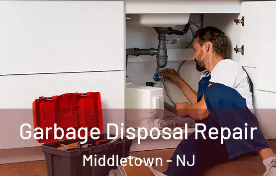  Garbage Disposal Repair Middletown - NJ