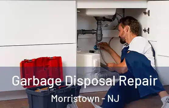  Garbage Disposal Repair Morristown - NJ