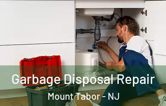  Garbage Disposal Repair Mount Tabor - NJ