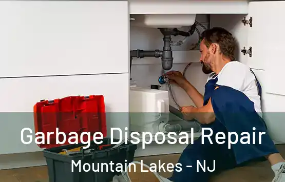  Garbage Disposal Repair Mountain Lakes - NJ