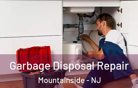  Garbage Disposal Repair Mountainside - NJ