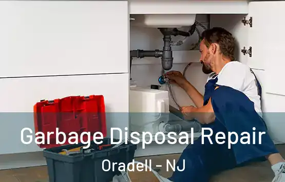  Garbage Disposal Repair Oradell - NJ