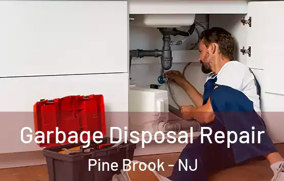  Garbage Disposal Repair Pine Brook - NJ