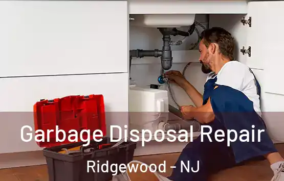  Garbage Disposal Repair Ridgewood - NJ