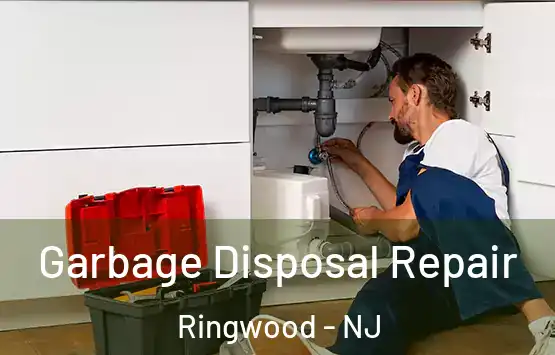  Garbage Disposal Repair Ringwood - NJ