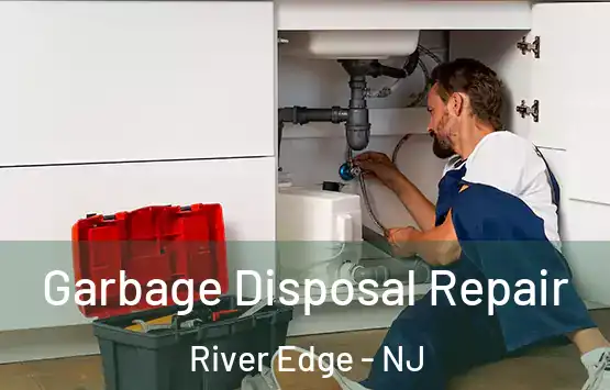  Garbage Disposal Repair River Edge - NJ
