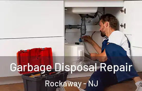  Garbage Disposal Repair Rockaway - NJ