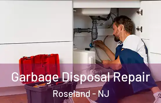  Garbage Disposal Repair Roseland - NJ