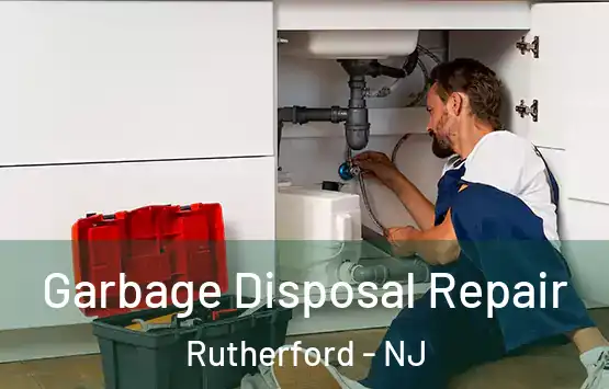  Garbage Disposal Repair Rutherford - NJ