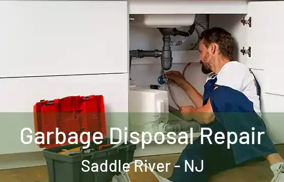  Garbage Disposal Repair Saddle River - NJ