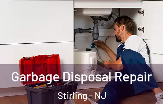  Garbage Disposal Repair Stirling - NJ