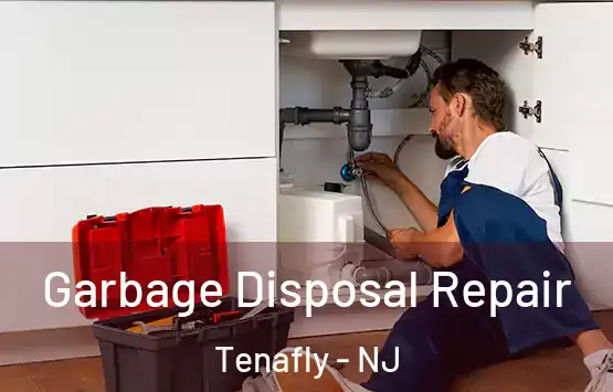  Garbage Disposal Repair Tenafly - NJ