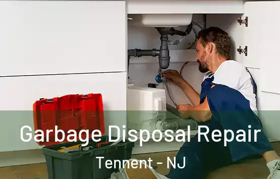  Garbage Disposal Repair Tennent - NJ