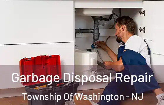  Garbage Disposal Repair Township Of Washington - NJ