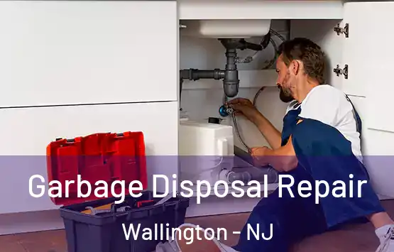  Garbage Disposal Repair Wallington - NJ