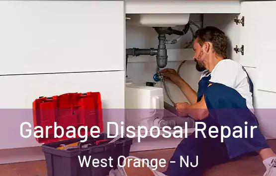  Garbage Disposal Repair West Orange - NJ