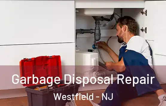  Garbage Disposal Repair Westfield - NJ