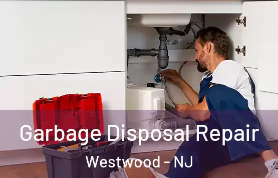  Garbage Disposal Repair Westwood - NJ