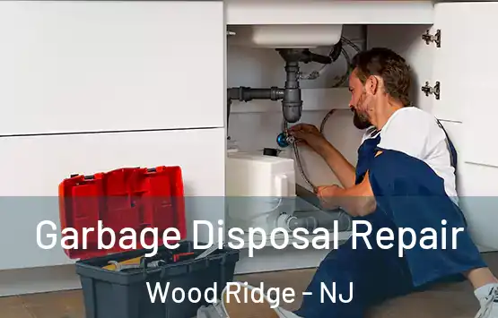  Garbage Disposal Repair Wood Ridge - NJ