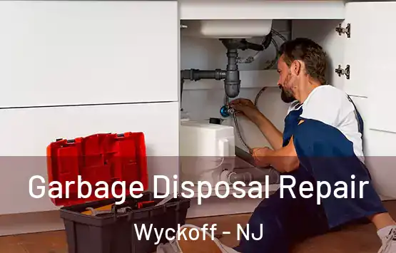  Garbage Disposal Repair Wyckoff - NJ