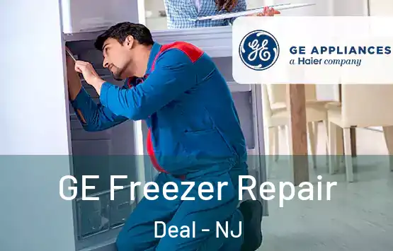 GE Freezer Repair Deal - NJ