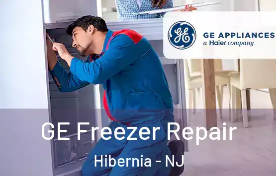 GE Freezer Repair Hibernia - NJ