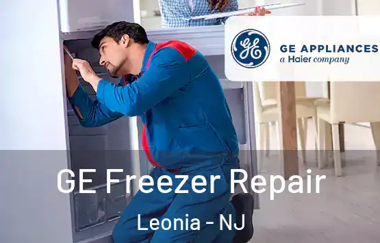  GE Freezer Repair Leonia - NJ