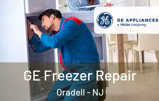  GE Freezer Repair Oradell - NJ
