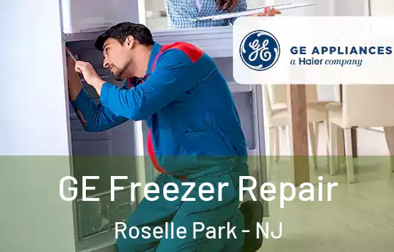  GE Freezer Repair Roselle Park - NJ