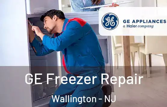  GE Freezer Repair Wallington - NJ