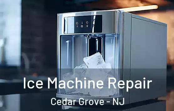  Ice Machine Repair Cedar Grove - NJ