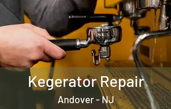  Kegerator Repair Andover - NJ