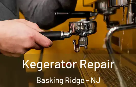  Kegerator Repair Basking Ridge - NJ