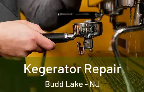  Kegerator Repair Budd Lake - NJ