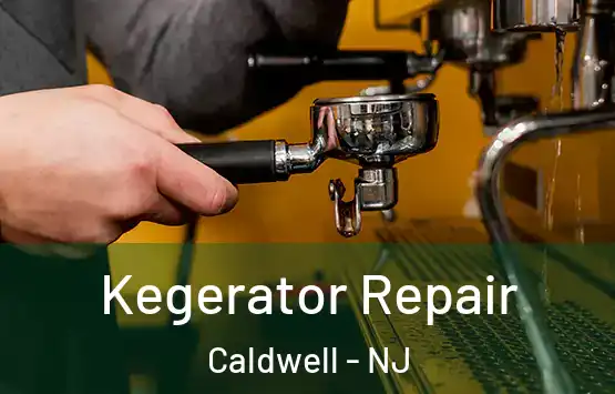  Kegerator Repair Caldwell - NJ