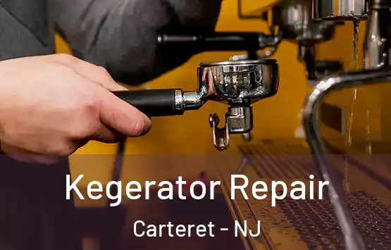  Kegerator Repair Carteret - NJ
