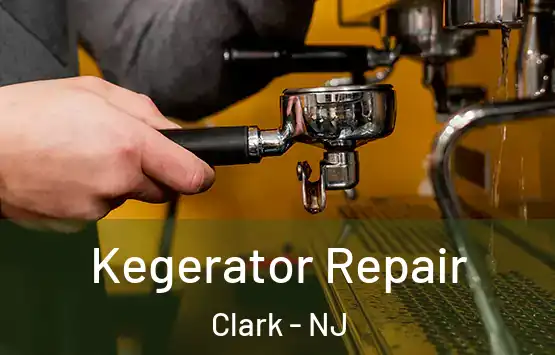  Kegerator Repair Clark - NJ