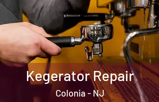  Kegerator Repair Colonia - NJ