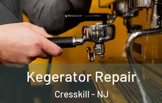  Kegerator Repair Cresskill - NJ