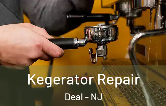  Kegerator Repair Deal - NJ