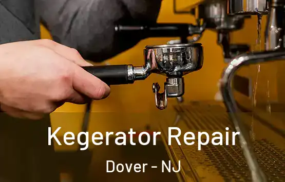  Kegerator Repair Dover - NJ