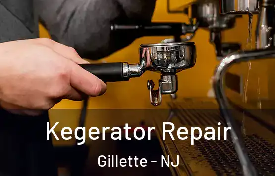  Kegerator Repair Gillette - NJ