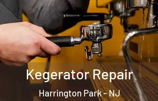  Kegerator Repair Harrington Park - NJ